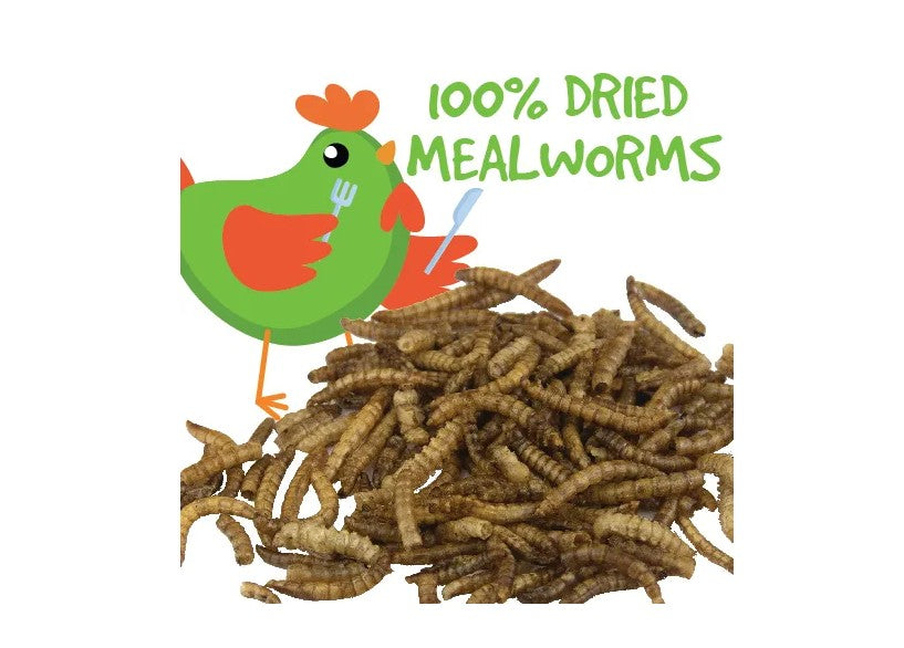 MEALWORMS DRIED [Size:100gm]
