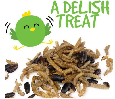 BUG MIX DRIED