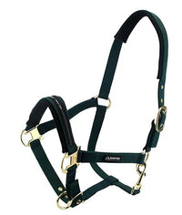 HALTER HORSE BAINBRIDGE [Size:Full Clr:Green]