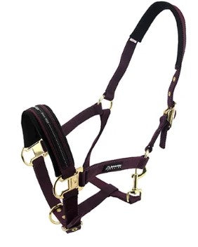 HALTER HORSE BAINBRIDGE [Size:Full Clr:Purple]