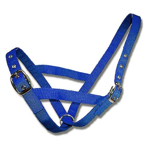 HALTER CATTLE CALF WEBBING [Clr:Blue]