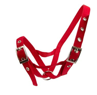HALTER WEBBED CATTLE [Size:Calf Clr:Red]