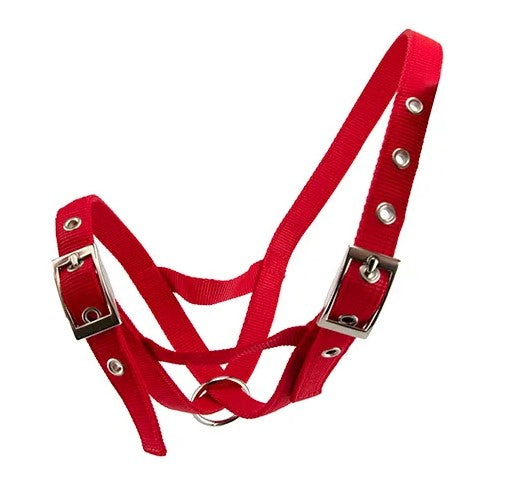 HALTER WEBBED CATTLE [Size:Cow Clr:Red]