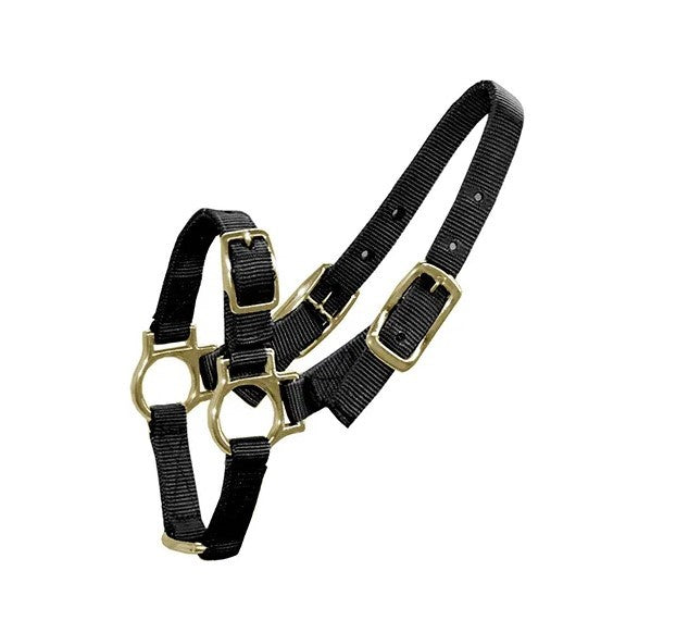 HALTER SHEEP & GOAT [Clr:Black]
