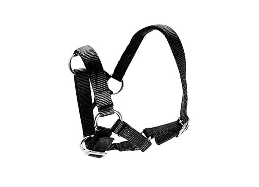 HALTER ALPACA
