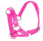 HALTER ALPACA [Size:Standard Clr:Pink]