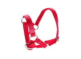 HALTER ALPACA [Size:Standard Clr:Red]