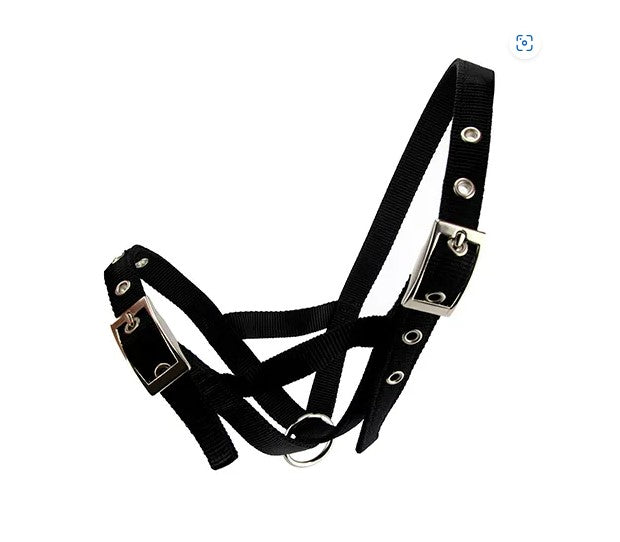 HALTER WEBBED CATTLE [Size:Calf Clr:Black]
