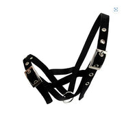 HALTER WEBBED CATTLE [Size:Calf Clr:Black]