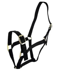 HALTER HORSE [Size:Pony Clr:Black]