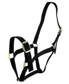 HALTER HORSE [Size:Pony]