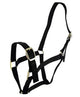 HALTER HORSE [Size:Pony]