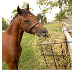 HAY FEEDER WIRE HANGING