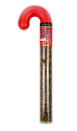BUG MIX CHRISTMAS CANE