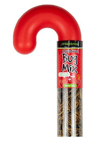 BUG MIX CHRISTMAS CANE