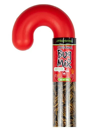 BUG MIX CHRISTMAS CANE