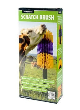 SCRATCH BRUSH BAINBRIDGE [Opt:Standard]