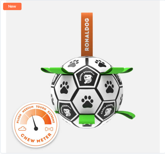 TOY RONALDOG SOCCER BALL