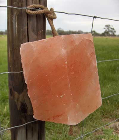 MINROSA SALT LICK HIMALAYAN ON ROPE