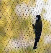 ANTI BIRD NETTING SILVEREYE 45GSM 10MTR WIDE BLACK PER MTR