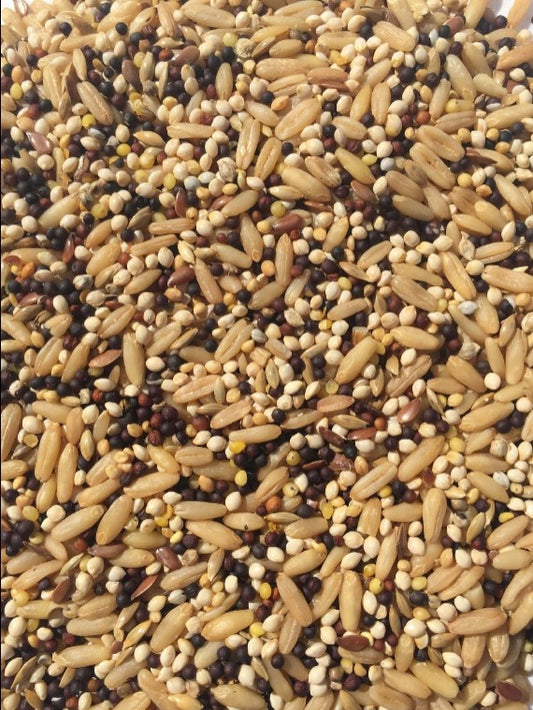 T&R CANARY MIX 25KG