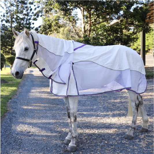 RUG AIRFLOW LIGHT COMBO PURPLE & LIME GREEN [Size:5'6]