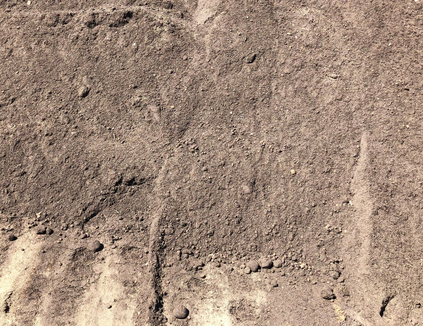 LANDSCAPE MIX (PER SCOOP)