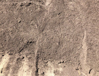 LANDSCAPE MIX (PER SCOOP)