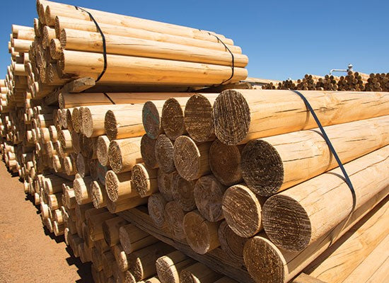 Pine Poles