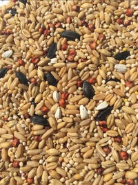 T&R SMALL PARROT MIX 25KG