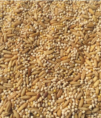 T&R BUDGIE MIX 25KG
