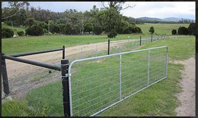 WOODSHIELD TIMBER POST 95-100MM [Lgth:180cm]