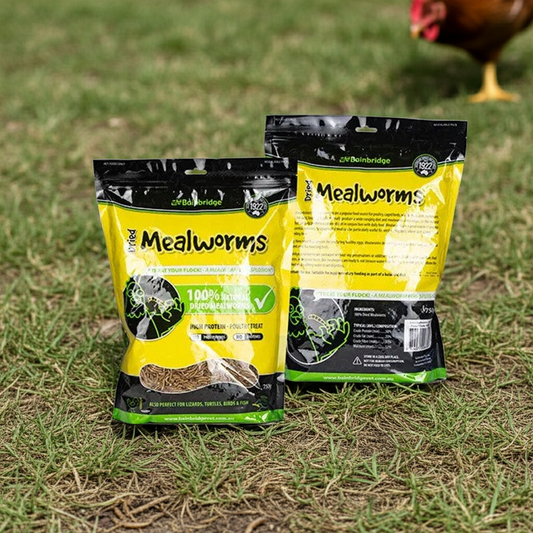 MEALWORMS DRIED