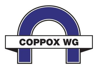 COPPOX WG (COPPER) 15KG