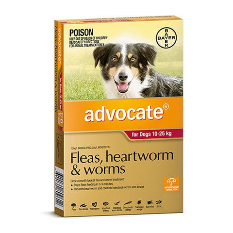 ADVOCATE DOG LARGE 10KG TO 25KG 3's RED