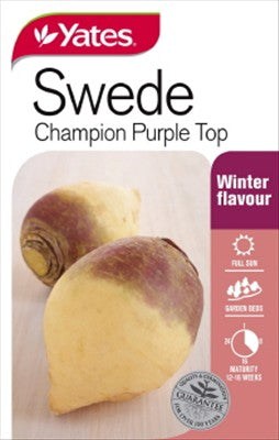 SEED - SWEDE CHAMPION PURPLE TOP