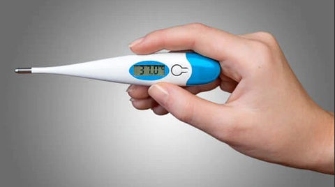 DIGITAL CLINICAL THERMOMETER AERO
